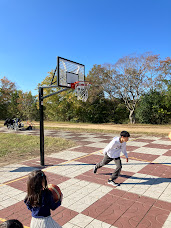 西武庫公園（西武庫HOOP）のコート写真です